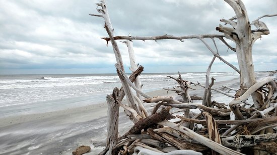 Little Talbot Island State Park- Jacksonville Florida